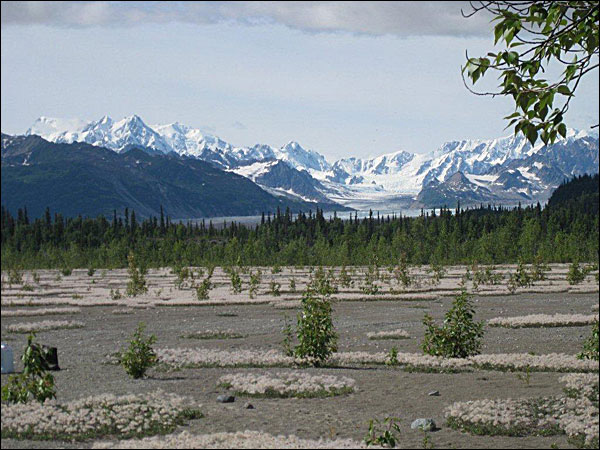 Alaska Fishing