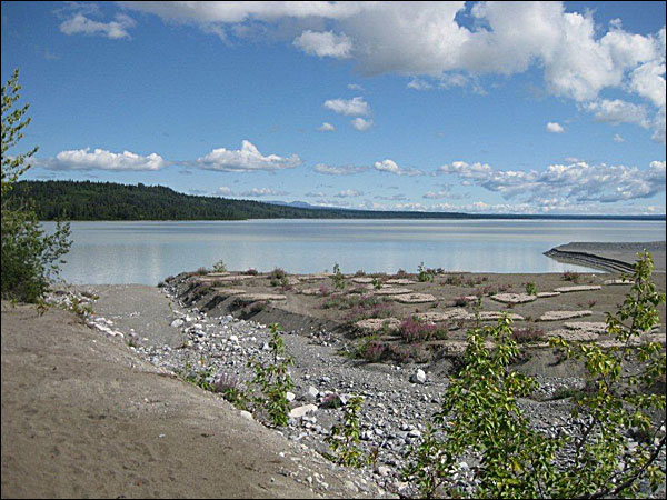 Alaska Fishing